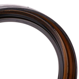 RENAULT KANGOO/MEGANE 813441710 VICTOR REINZ