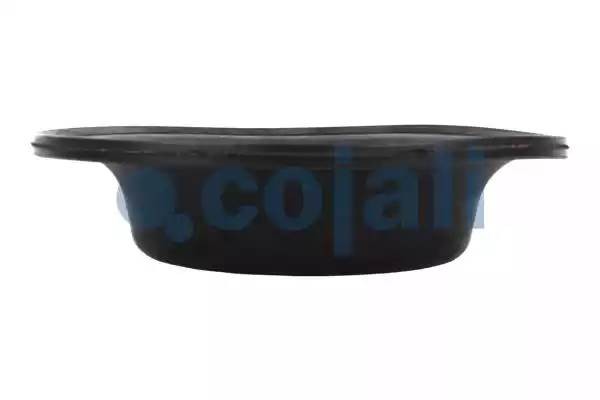 мембрана /27г/  6001120 6001120 COJALI