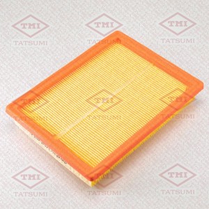 FORD FIESTA/ FUSION 02> TBC1033 TATSUMI