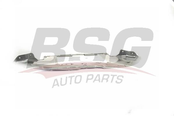 Защита двигателя VW Passat (97-05) AUDI A4 (94-01) передняя (пыльник) BSG BSG90922075 BSG
