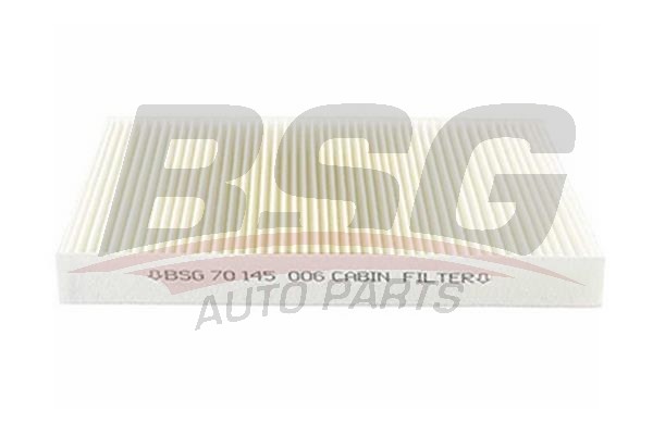 Фильтр воздушный салона PEUGEOT (307,308) (03-) BSG BSG70145003 BSG