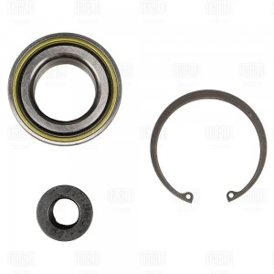 Подшипник ступицы Mercedes ML W163 (98-) перед./задн. (кмпл: подшип./гайка/кольц CS1595 TRIALLI