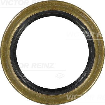 VAZ 2101-07, 2121, 2123 81-21087-10 VICTOR REINZ