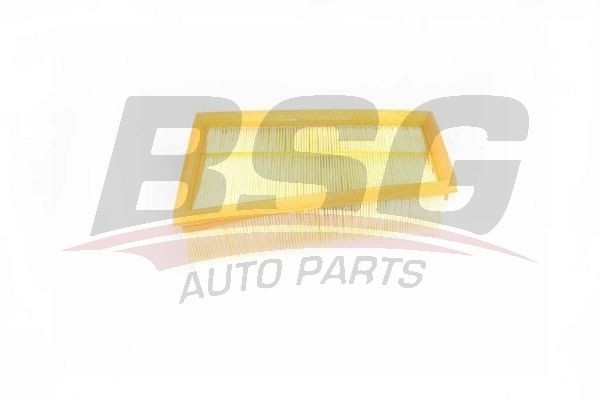 Фильтр воздушный RENAULT Megane (08-),Fluence (10-) BSG BSG75135003 BSG
