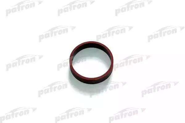 Прокладка впускного коллектора BMW 2.0D-3.0D 98 In (6)  PG51031 PG5-1031 PATRON