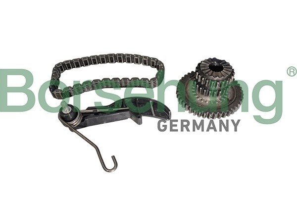 рем.к-кт цепи ГРМ!\ Audi A4 Allroad 2.0 09>, Skoda Octavia III 1.8 12> B10218 BORSEHUNG