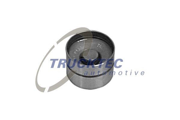 гидрокомпенсатор! \ Audi, VW 1.0-2.5TDi 88> 07.12.078 TRUCKTEC