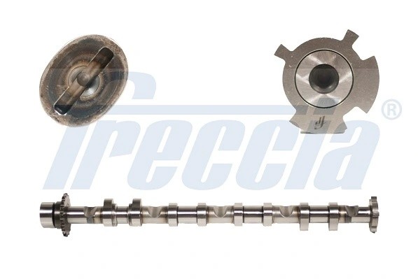 распредвал впускной!\ Volkswagen Passat 2.0 FSI 16V BLR/BLX/BVX 04> CM05-2248 FRECCIA
