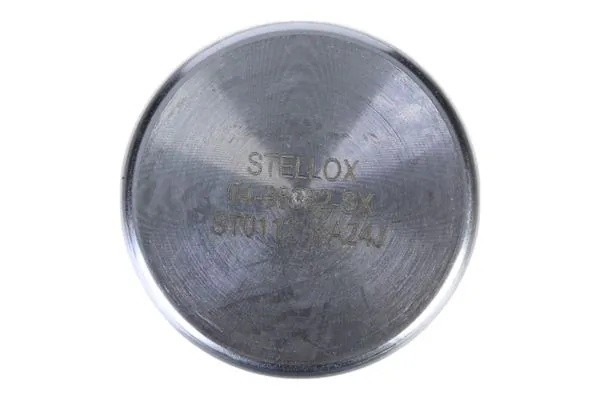 поршень суппорта!\ Chevrolet Captiva 06>, Land Rover Range Rover I/II/III 94> 04-98382-SX STELLOX