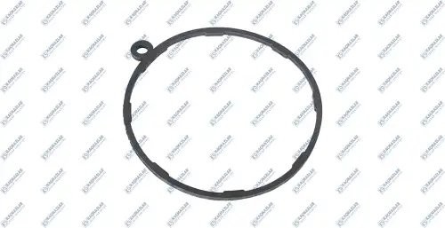 Кольцо уплотнительное КПП K1004164 KACMAZLAR