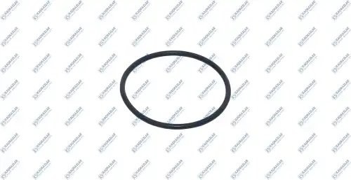 Уплотнительное кольцо (55.6X3mm) цилиндра переключения КПП MB Actroc K2106534 KACMAZLAR