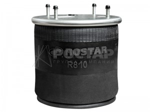 Рессора пневматическая (пластиковый стакан) R810DGL01 ROSTAR