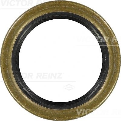 VAZ 2101-07, 2121, 2123 81-21087-10 VICTOR REINZ