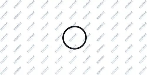 кольцо уплотнительное КПП !\42 3B ACM1 80 K2002527 KACMAZLAR