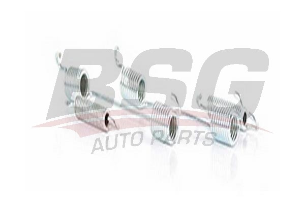 Ремкомплект FORD Focus (04-),Transit Connect колодок тормозных задних (4 пружинк BSG30260002 BSG