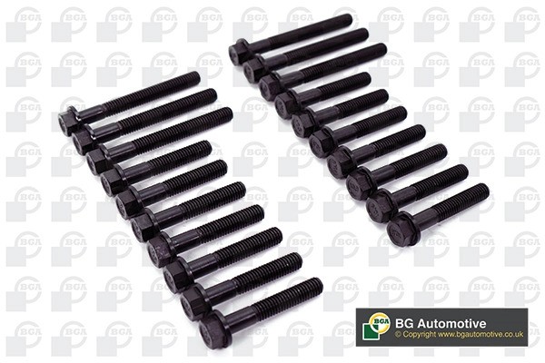 к-кт болтов ГБЦ! 10шт.\ BMW E36/E46/E39 1.7TDs-2.0TDi M41D/M47 94> BK5325 BG AUTOMOTIVE