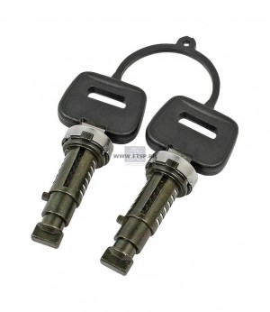 сердцевина замка зажигания !с 2 ключами \DAF 65/75/85/95/105 5.55161 DIESEL TECHNIC