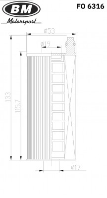 Фильтр масляный, BMW FO6316 FO6316 BM MOTORSPORT