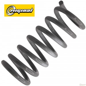 Пружина передняя для а/м ВАЗ 21214 "Riginal"  2шт RG21214-2902712 RIGINAL