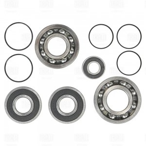 Ремкомплект КПП (5 ступ.) ГАЗ (до 2003 г.) (шарик. подшип., только подшип.) (CT  CT756 TRIALLI