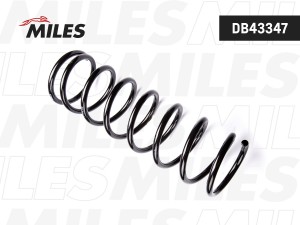 Пружина задней подвески HYUNDAI Sonata EF 04- (ТАГАЗ) DB43347 DB43347 MILES