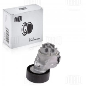 Ролик привод. ремня с натяж. мех. Fiat Ducato (06-) 2.3 JTD (CMS 1604) CMS 1604 TRIALLI