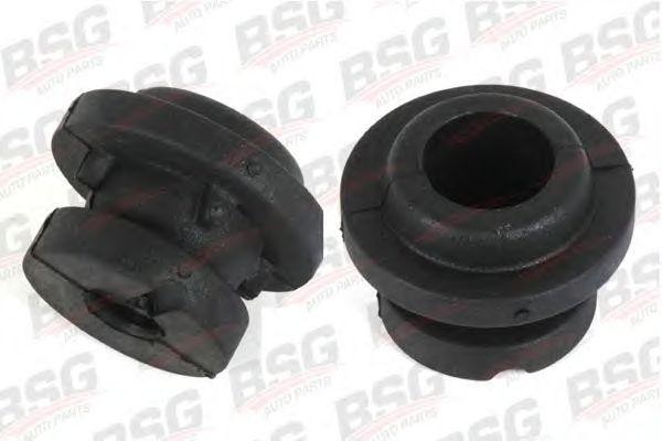 Втулка FORD Focus (98-04),Tourneo Connect (02-) радиатора BSG BSG30700110 BSG