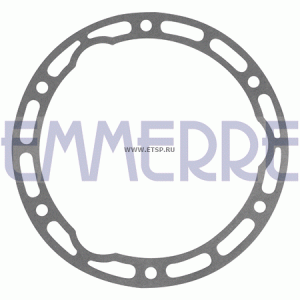 Прокладка редуктора 933444 EMMERRE