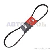 Поликлиновой ремень 5PK1210 (8653-10243) 5-PK-1210 GATES