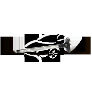 клапан впускной! 27.2x6x95.8мм\PSA C5/C6/C8/407/607/807, Ford Mondeo IV 2.2HDI 0 V165950 BG AUTOMOTIVE