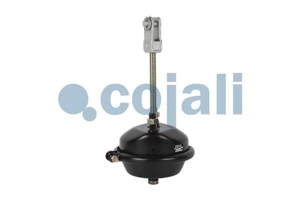 Камера тормозная T24 MAN/RVI аналог Wabco 4231069000 2251107 COJALI