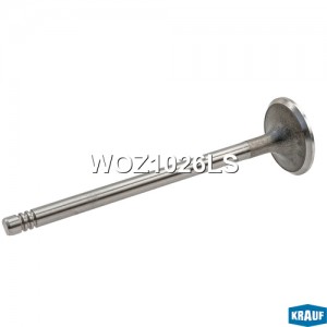 Клапан выпускной WOZ1026LS WOZ1026LS KRAUF