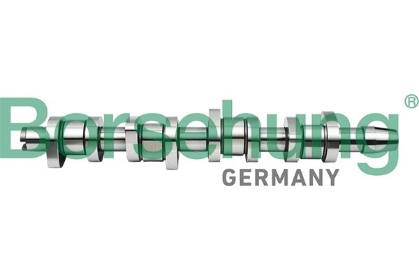 распредвал!\ Audi A3/A4/A6 98-10, VW Bora/Golf/Passat 99-06/T5 03-09 B17861 BORSEHUNG