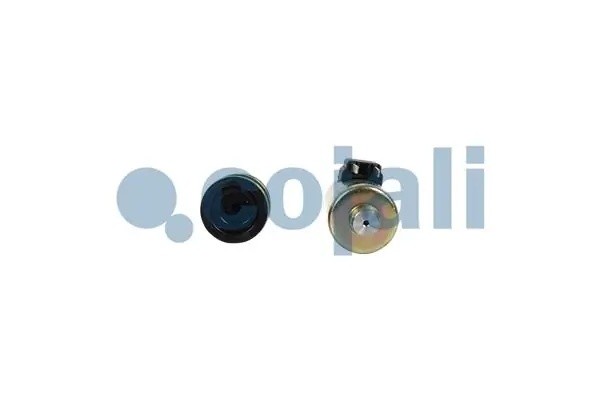 Магнитный клапан 6012331 COJALI