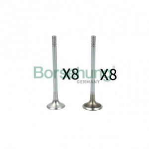 Комплект клапанов 8+8B18629 B18629 BORSEHUNG
