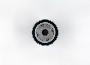 AUDI/SEAT/VOLVO/VW GB113 BIG FILTER