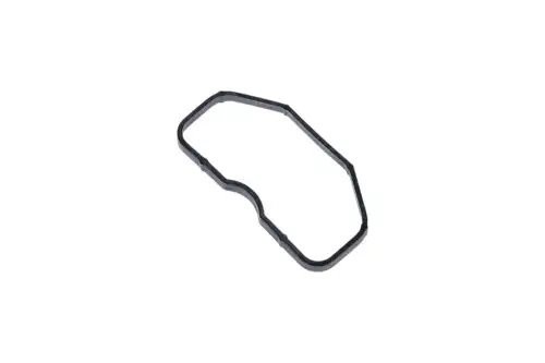 прокладка коллектора впускного! (x6) Audi A4/A6/A8, VW Touareg, Porsche Cayenne  Z15590 ZENTPARTS