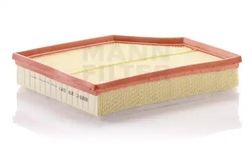 Фильтр воздушный GEELY TUGELLA 2.0T 21-, VOLVO S60 III, XS90 II C29021 C29021 MANN FILTER
