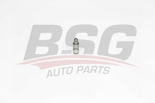 Гидрокомпенсатор AUDI A6 (97-05) BSG BSG90122019 BSG