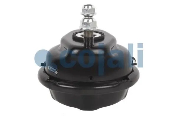 Камера тормозная Т20 передняя RVI шток 65мм. 2351301 COJALI