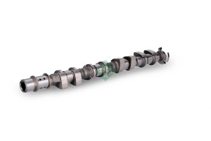 Вал распределительный впускной CHEVROLET AVEO (T250) 1.4, CRUZE 1.61.8 -12/13 42 428 0175 10 INA