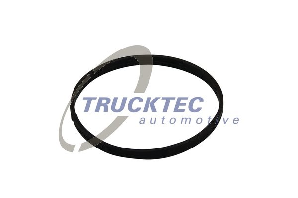 кольцо уплотнительное !дроссельной заслонки\ MB W203/W211/W164/W221 3.0CDi 05> 02.14.174 TRUCKTEC