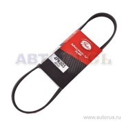 Ремень приводной поликлиновой 4PK803 GATES 4-PK-803 GATES