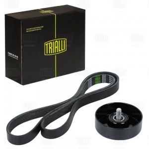 Ремень генератора (6PK1256 + ролик) GD1201 TRIALLI