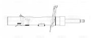 Амортизатор Ford Focus III (11-) после 09.14 г.в. (стойка) перед. лев. AG 10193 AG10193 TRIALLI