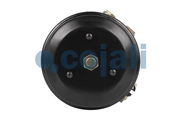 Энергоаккумулятор (кулачковый тормоз) T30/30 Volvo/Scania/DAF аналог Wabco 92543 2251524 COJALI