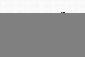 NISSAN ALMERA (G15) (2013>) JH05AMR13001L JORDEN