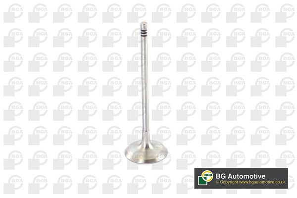 КЛАПАН ВПУСКНОЙ 32x5.0x106.7 IN BMW 3.0 (N53 B30A) 10- V090105 BG AUTOMOTIVE