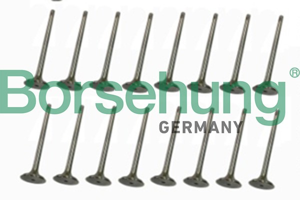 к-кт клапанов! впуск./выпуск. 16шт. 33.85x6x104\ Audi A3 2.0 AXW 03> B18637 BORSEHUNG