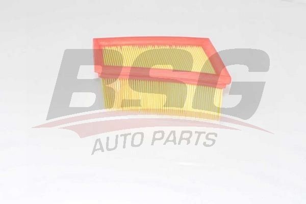 Фильтр воздушный ЛАДА Largus RENAULT Logan,Megane NISSAN Almera BSG BSG75135005 BSG
